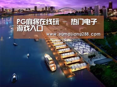 案例展示八